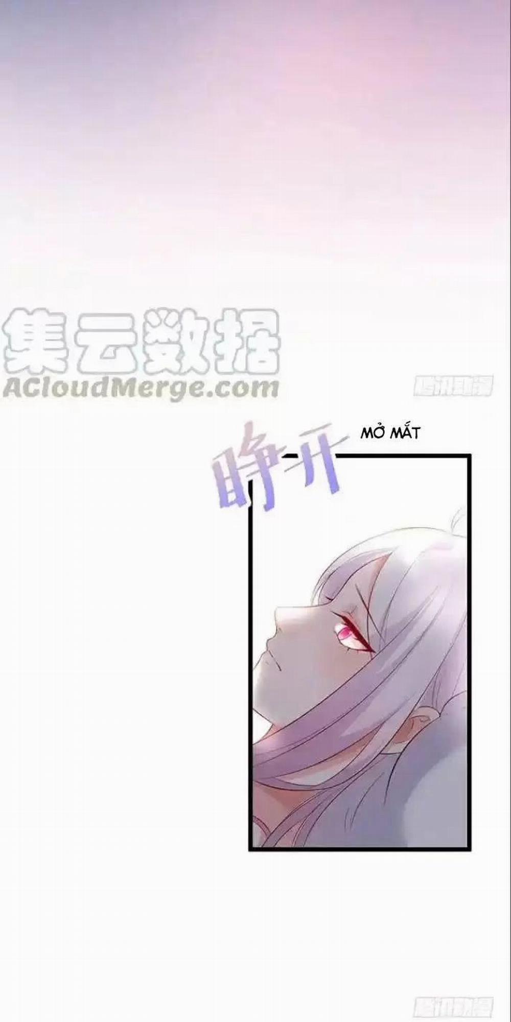 Hắc Đạo Đáng Yêu 161 trang 24