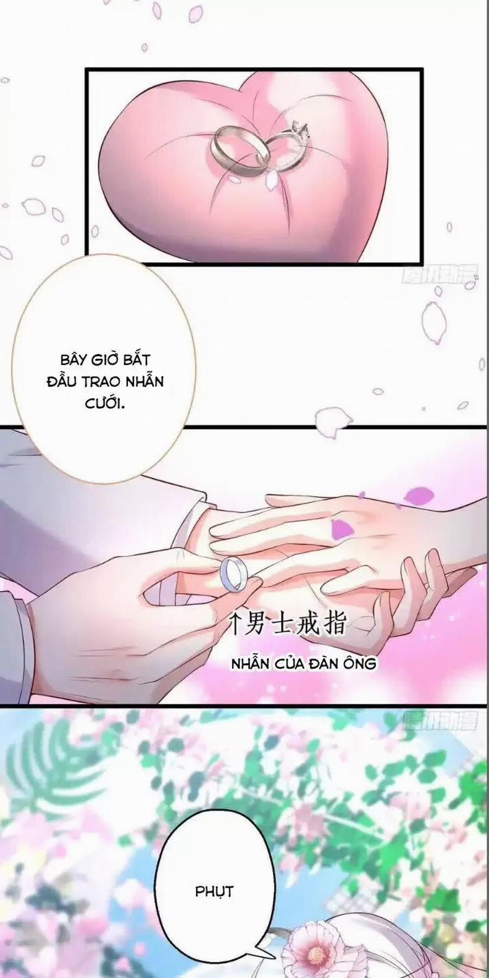 Hắc Đạo Đáng Yêu 163 trang 43