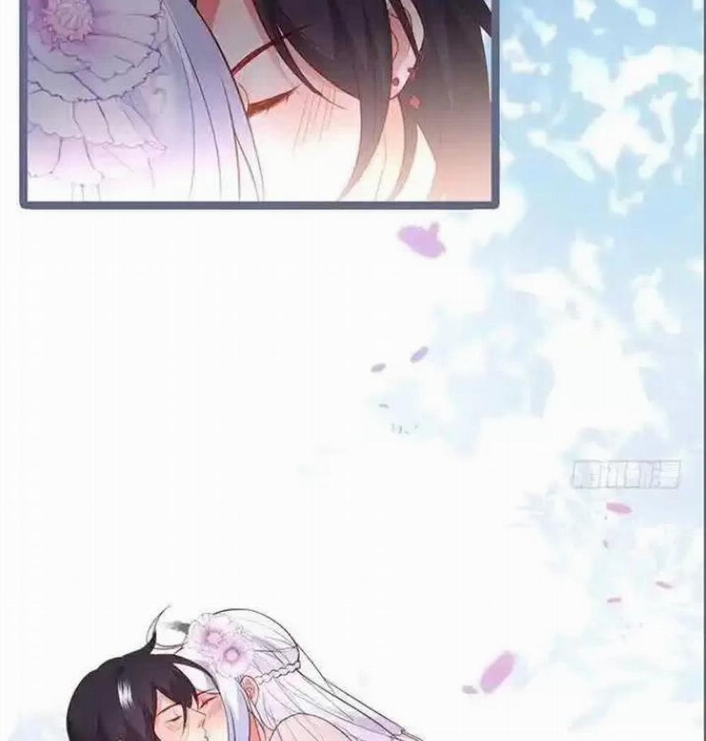 Hắc Đạo Đáng Yêu 164 trang 20