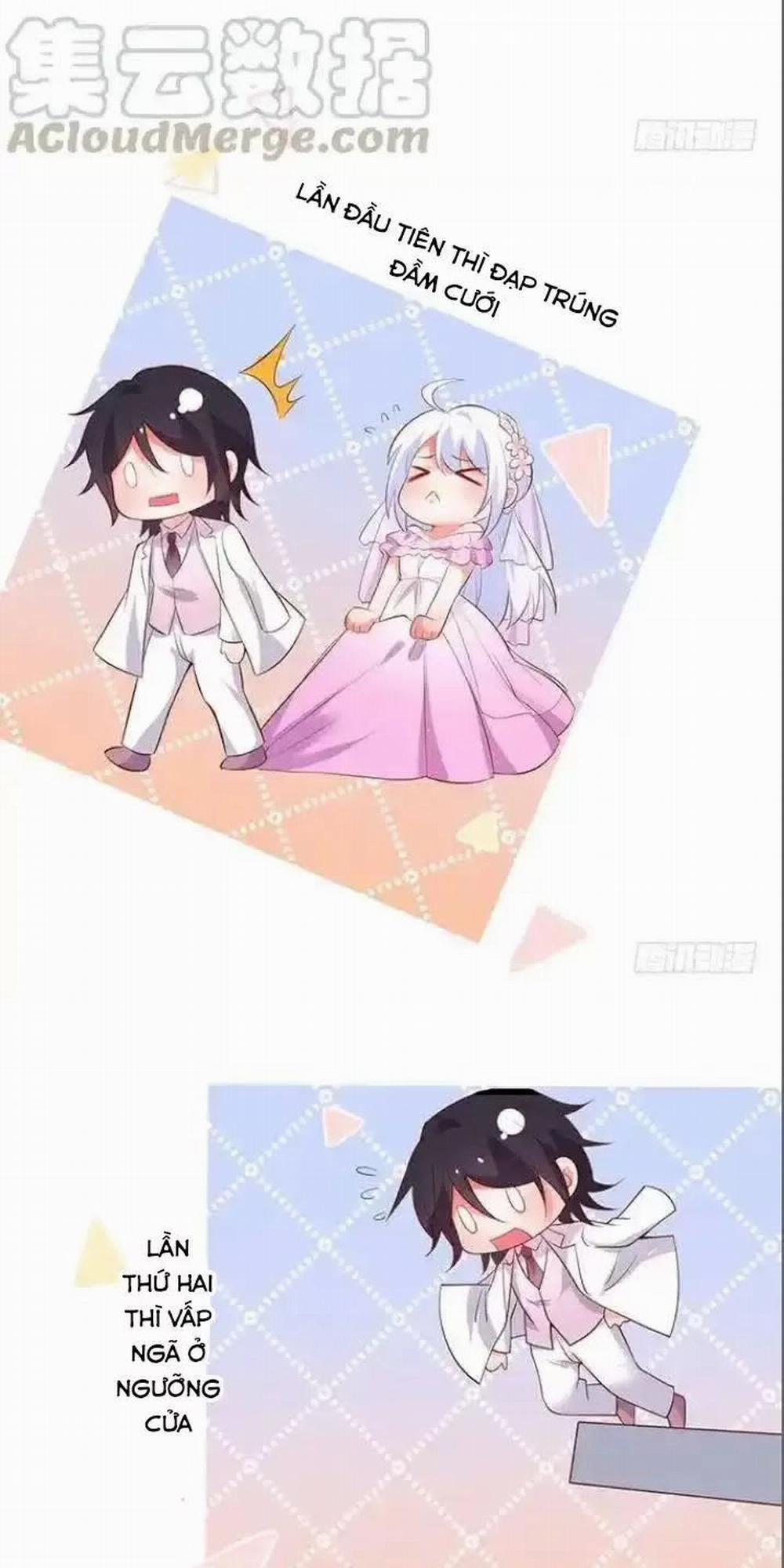 Hắc Đạo Đáng Yêu 164 trang 3