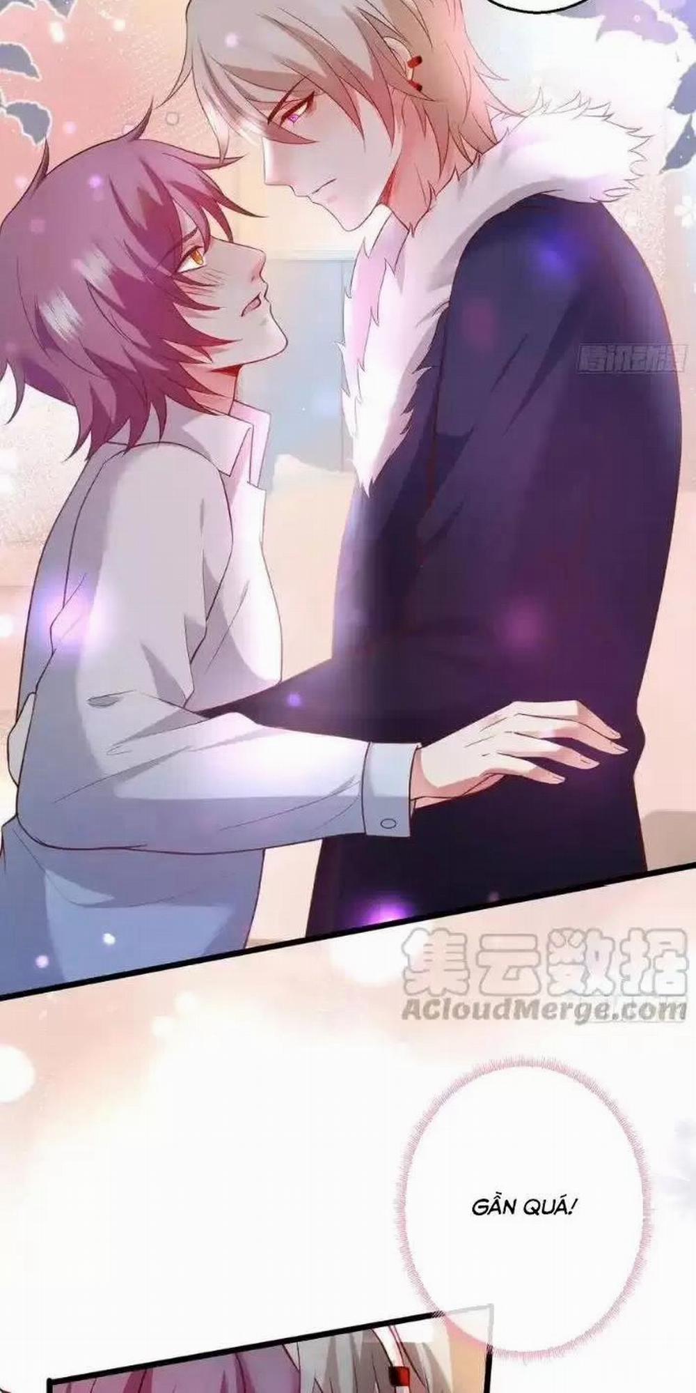 Hắc Đạo Đáng Yêu 166 trang 6