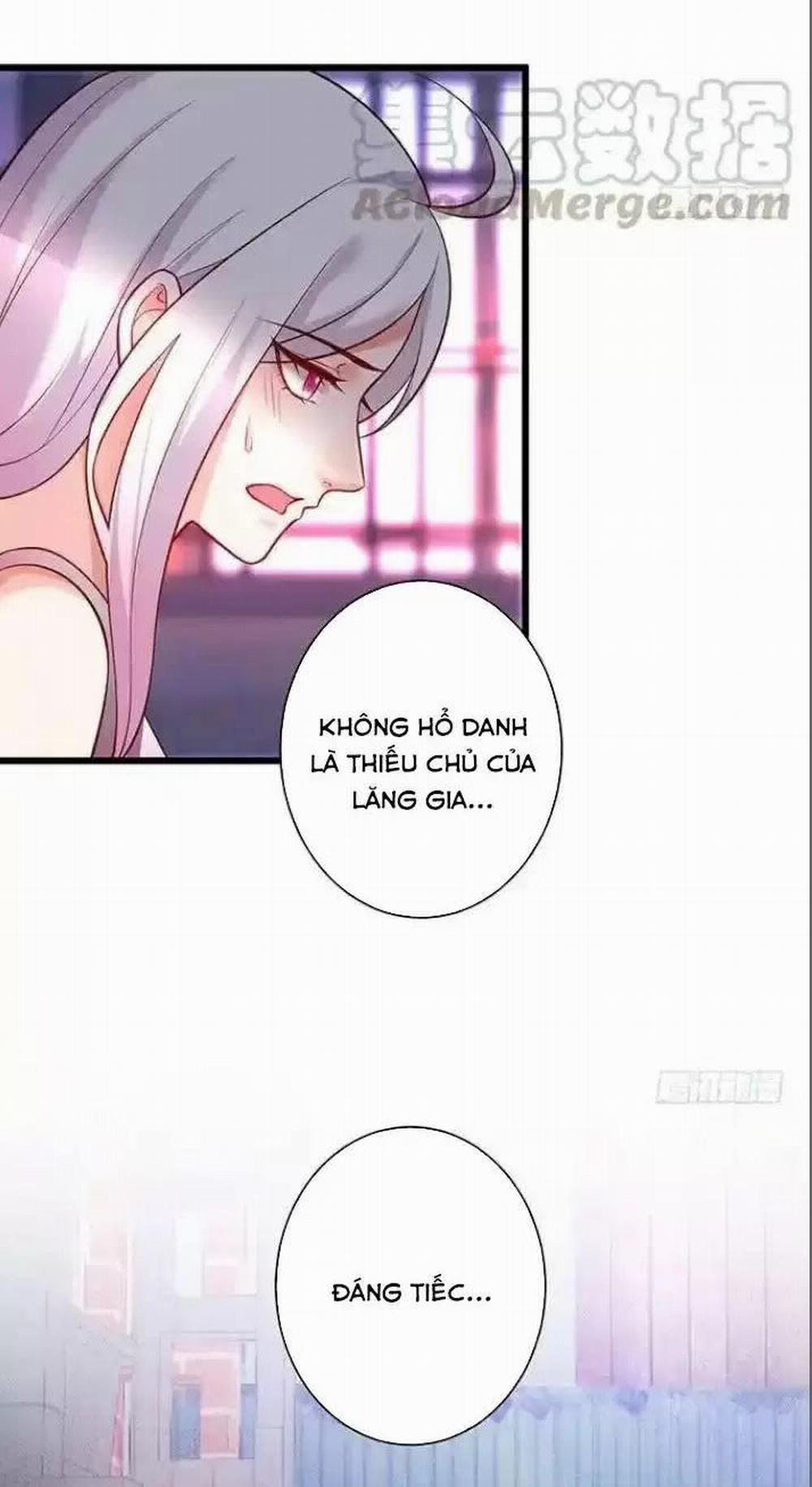 Hắc Đạo Đáng Yêu 168 trang 11