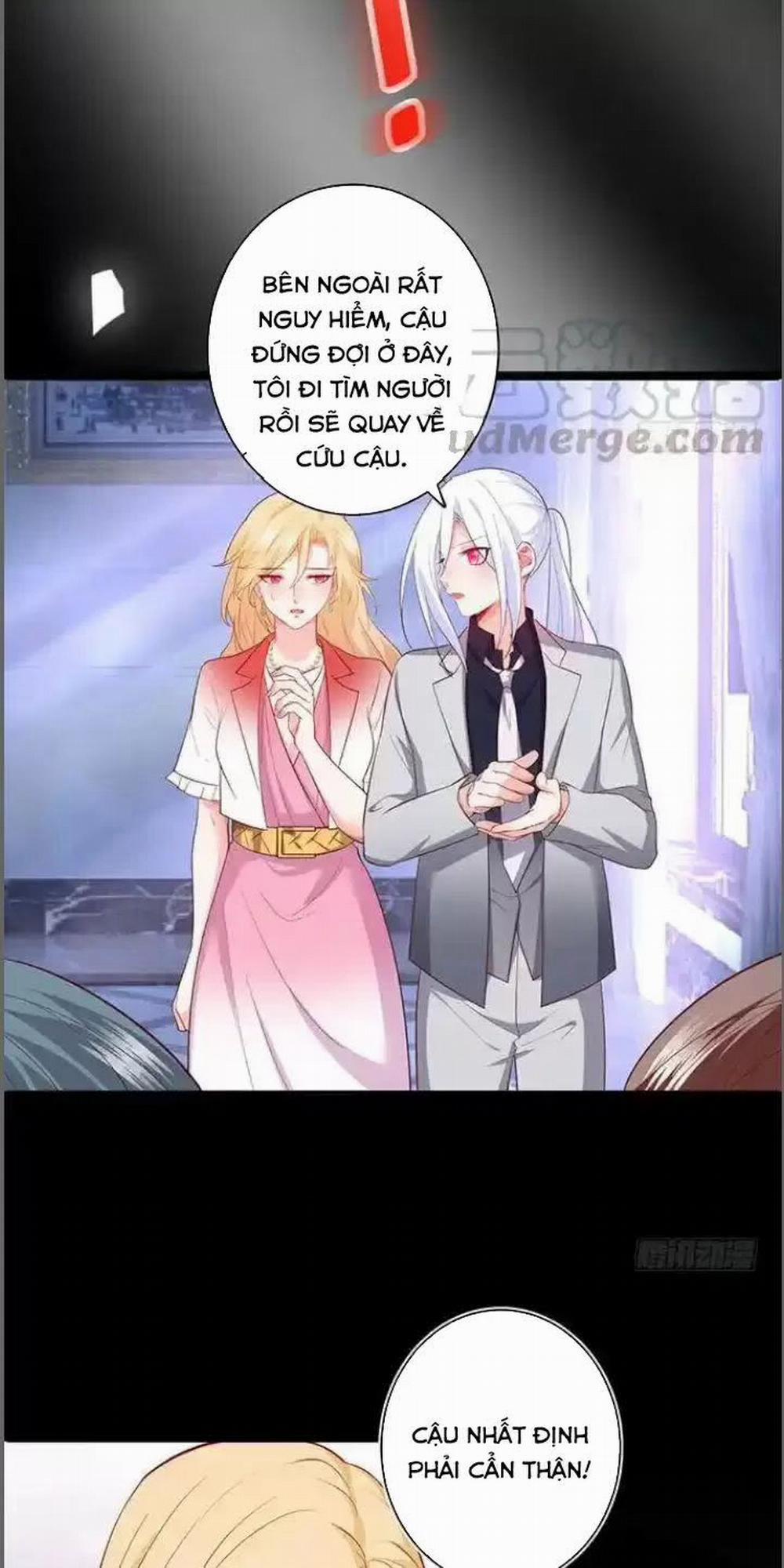 Hắc Đạo Đáng Yêu 173 trang 19