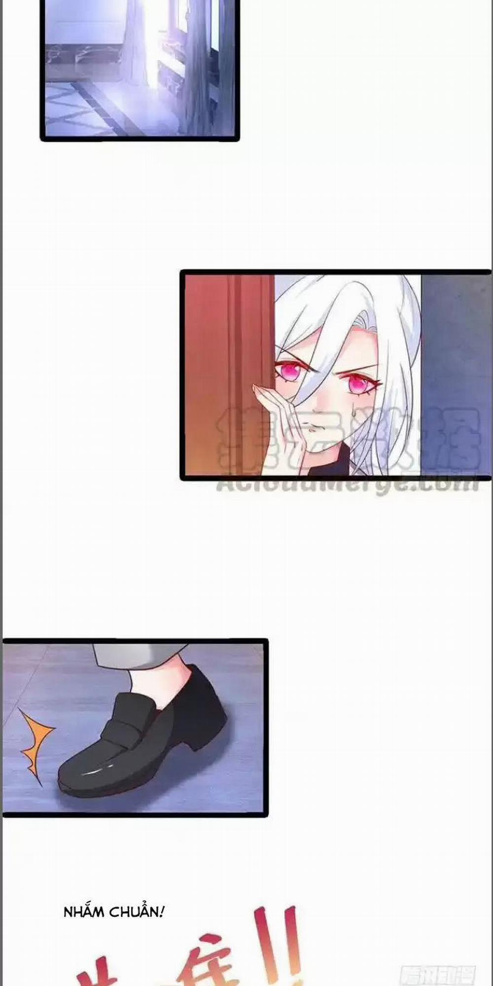 Hắc Đạo Đáng Yêu 173 trang 23