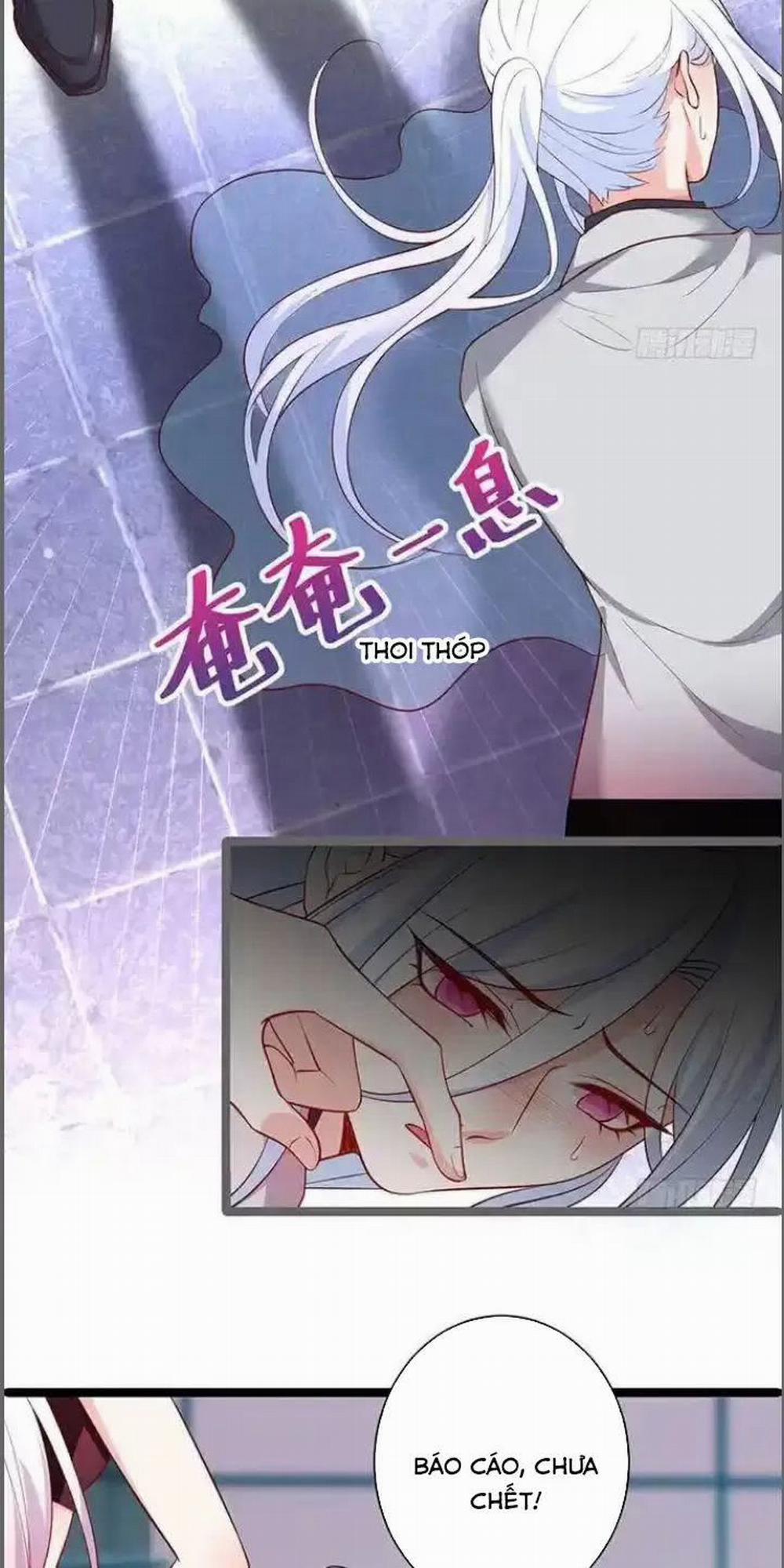 Hắc Đạo Đáng Yêu 173 trang 39