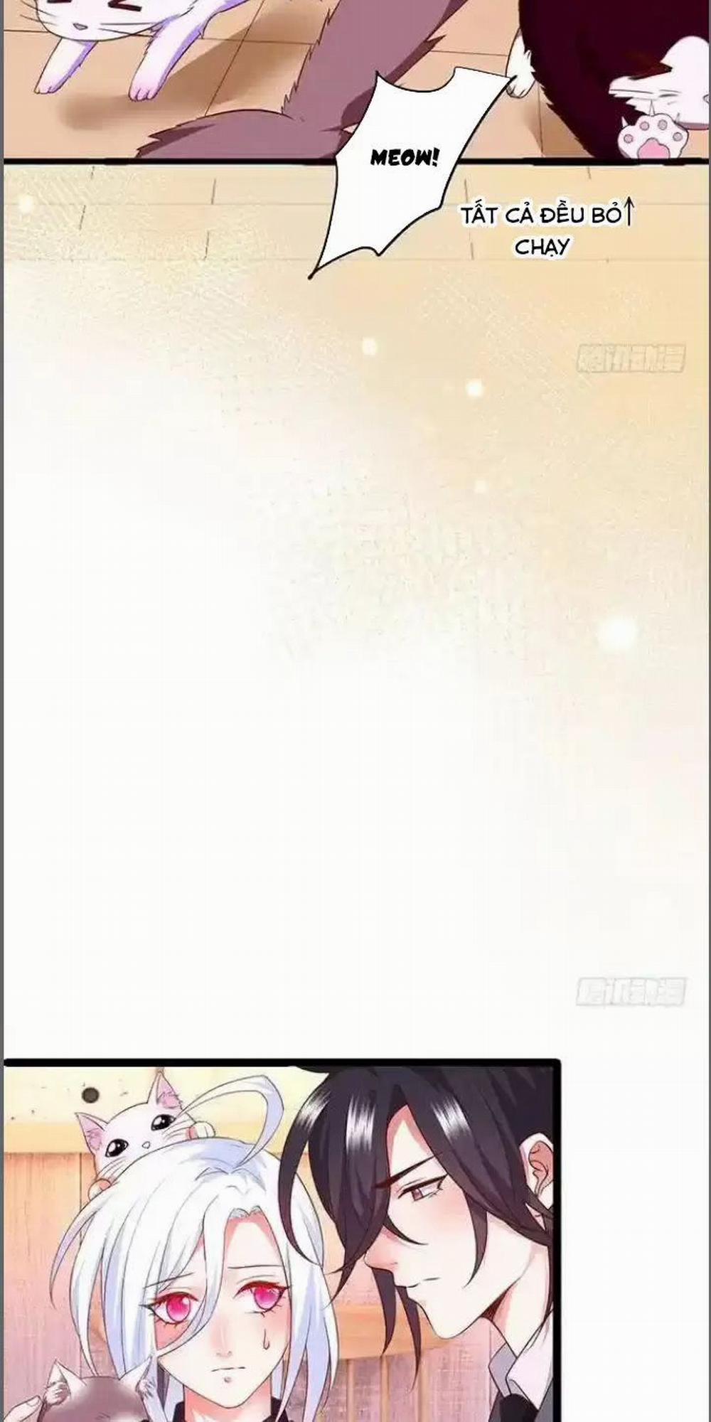 Hắc Đạo Đáng Yêu 176 trang 12