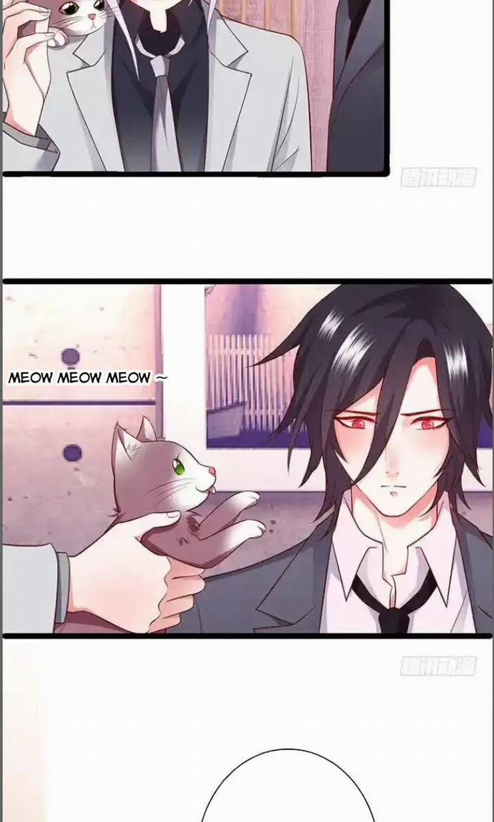 Hắc Đạo Đáng Yêu 176 trang 13