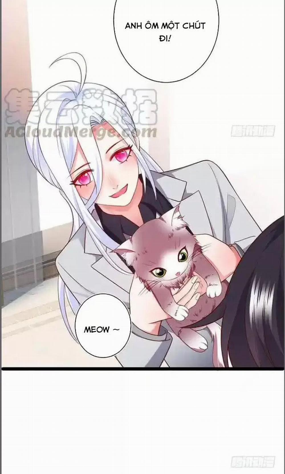 Hắc Đạo Đáng Yêu 176 trang 14