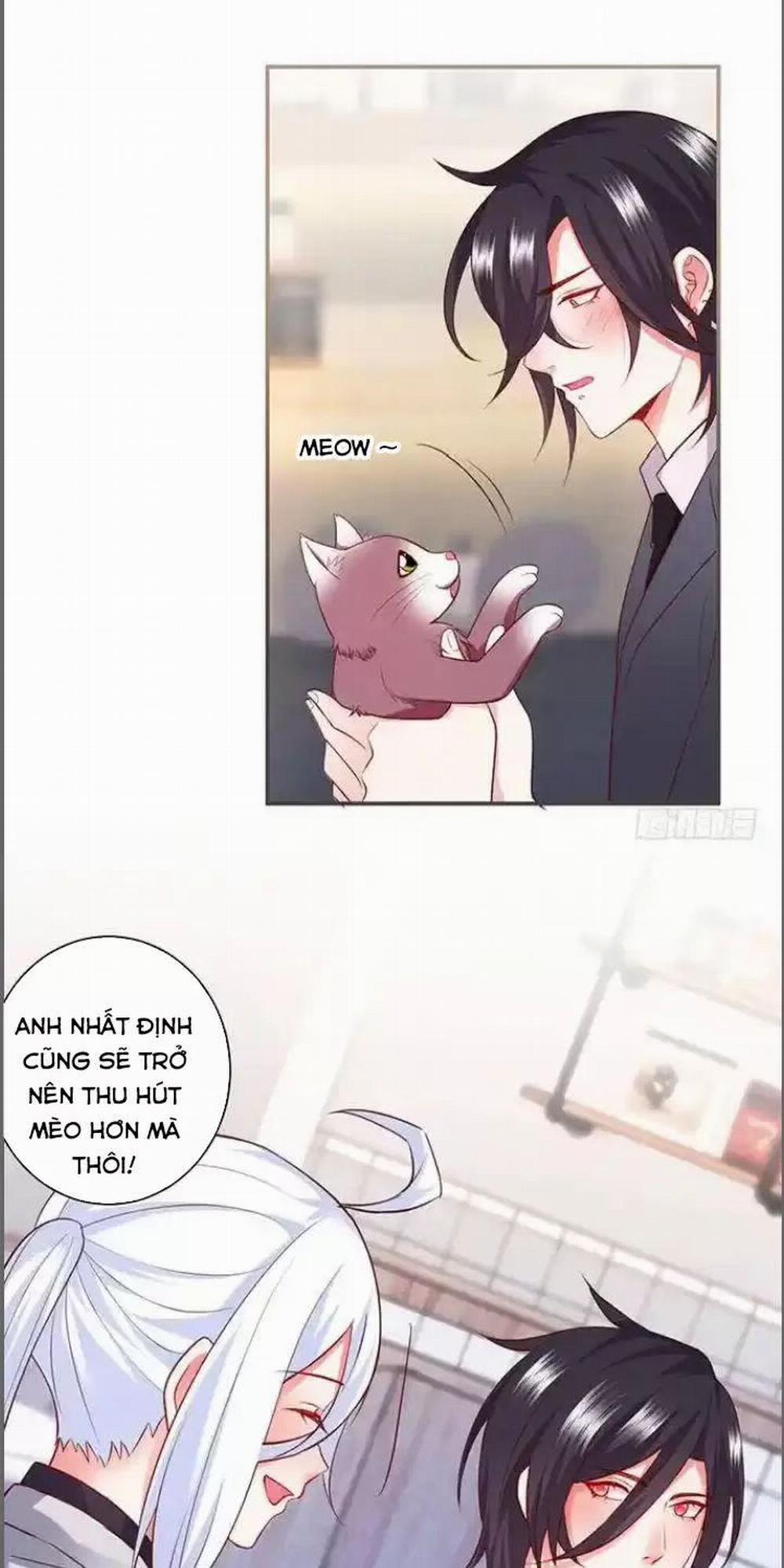 Hắc Đạo Đáng Yêu 176 trang 15