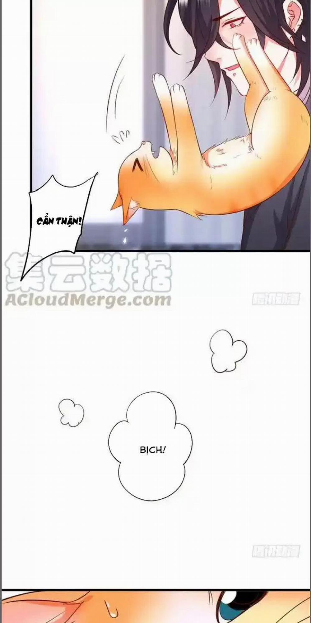 Hắc Đạo Đáng Yêu 176 trang 18