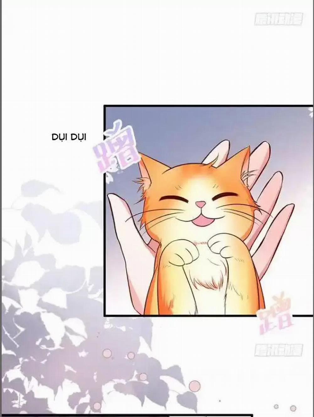 Hắc Đạo Đáng Yêu 176 trang 20