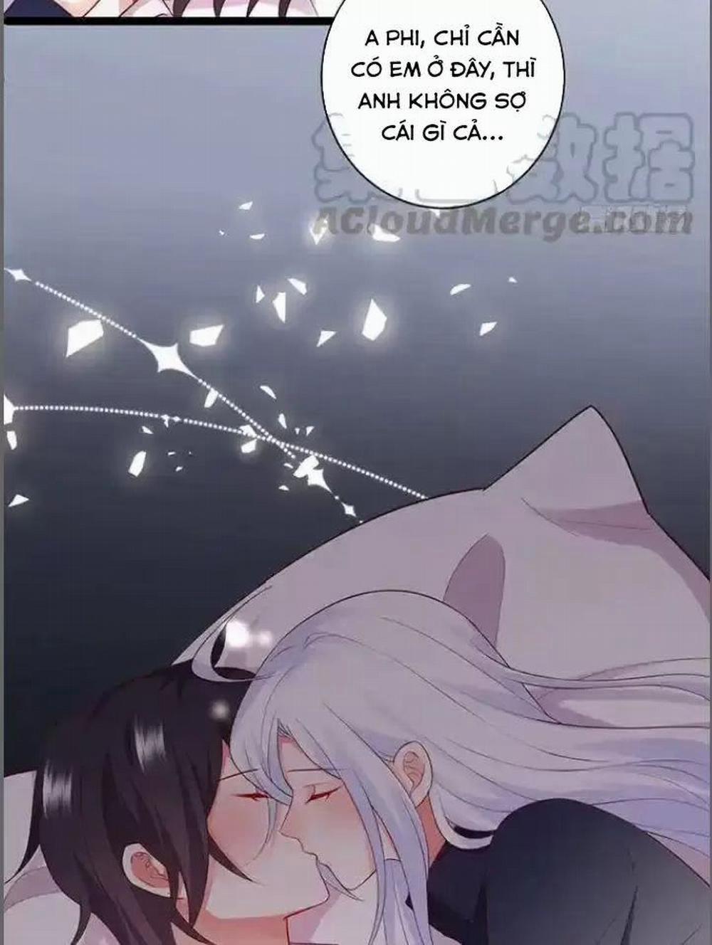 Hắc Đạo Đáng Yêu 176 trang 40