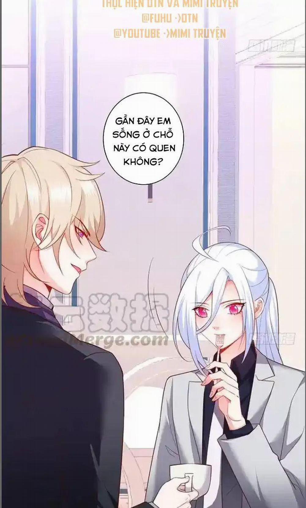 Hắc Đạo Đáng Yêu 179 trang 1