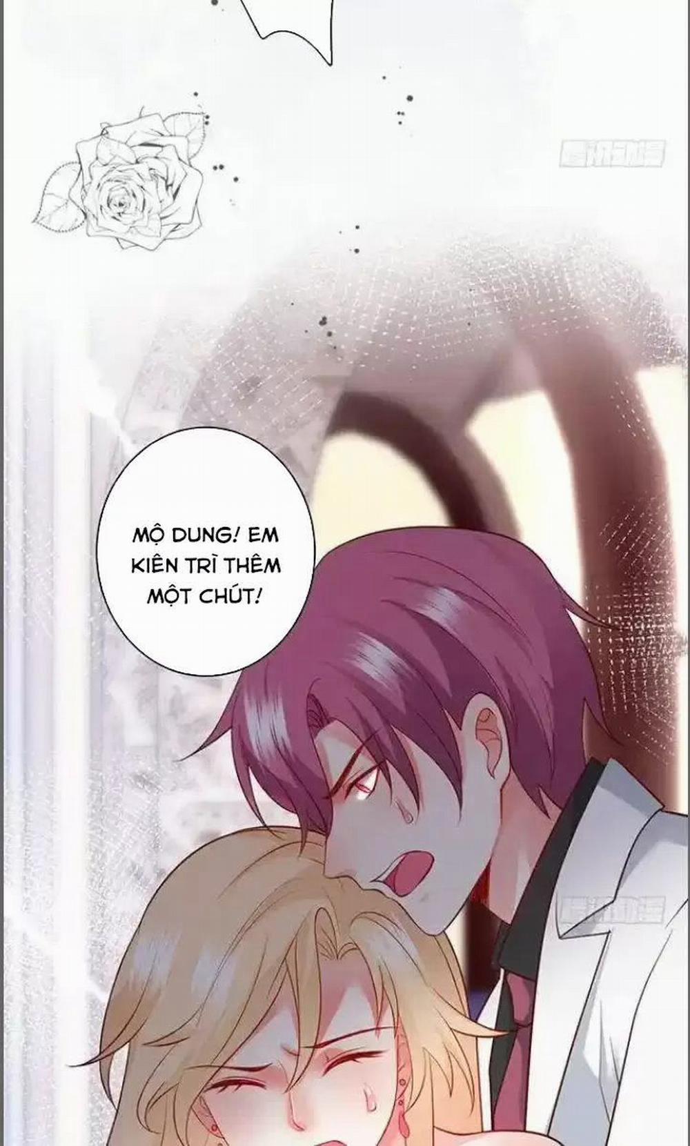 Hắc Đạo Đáng Yêu 181 trang 11