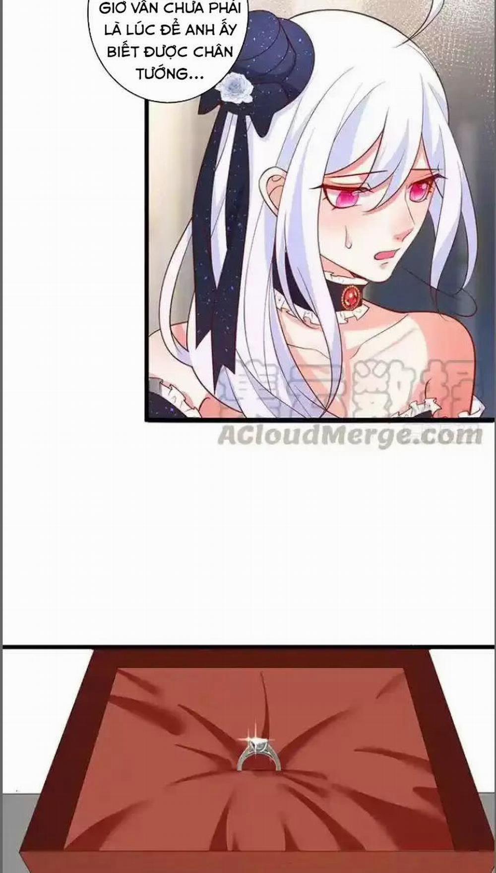 Hắc Đạo Đáng Yêu 182 trang 22