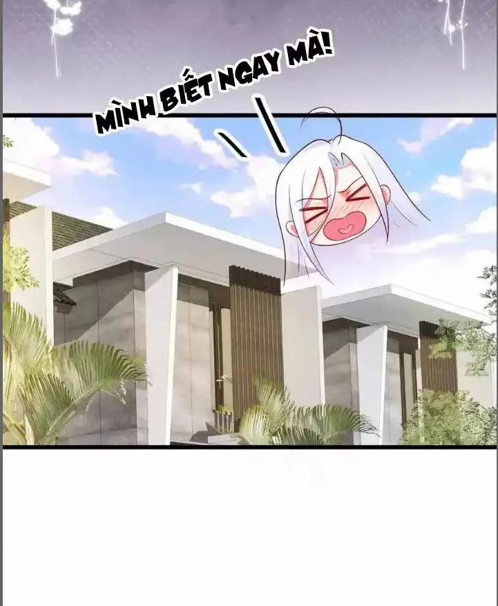 Hắc Đạo Đáng Yêu 210 trang 17