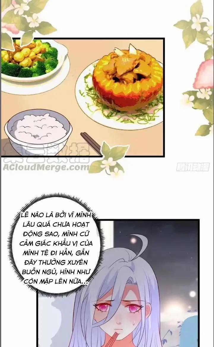 Hắc Đạo Đáng Yêu 211 trang 26