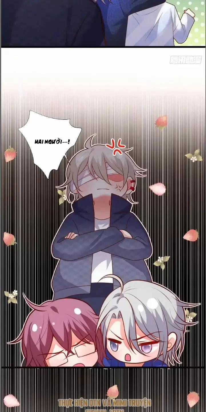 Hắc Đạo Đáng Yêu 213 trang 15