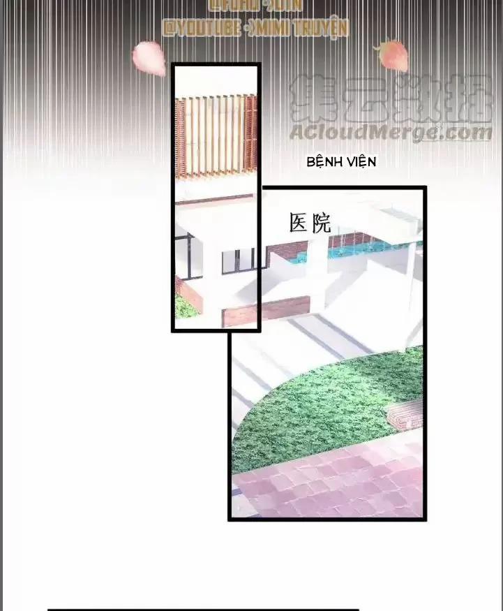 Hắc Đạo Đáng Yêu 213 trang 16