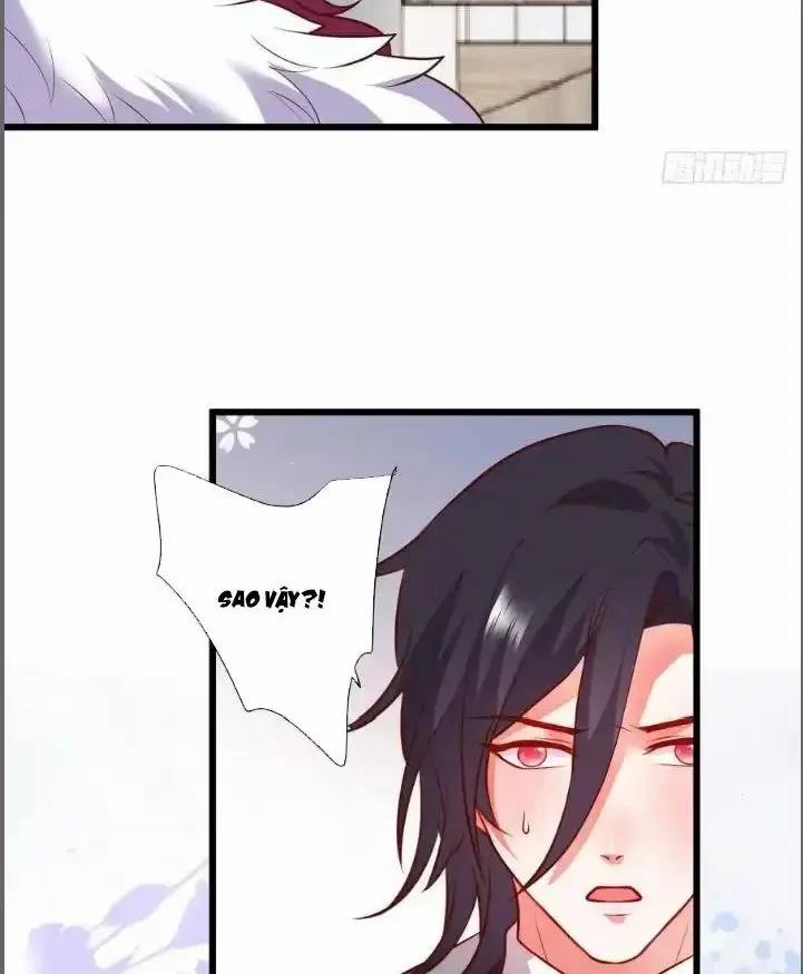 Hắc Đạo Đáng Yêu 213 trang 20