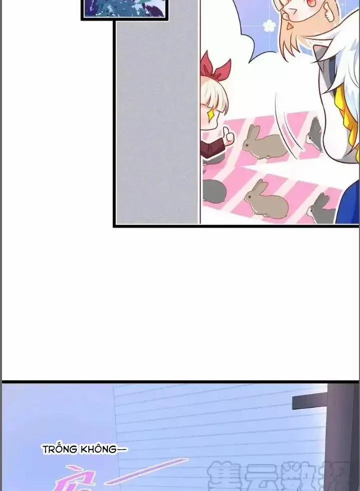 Hắc Đạo Đáng Yêu 216 trang 31