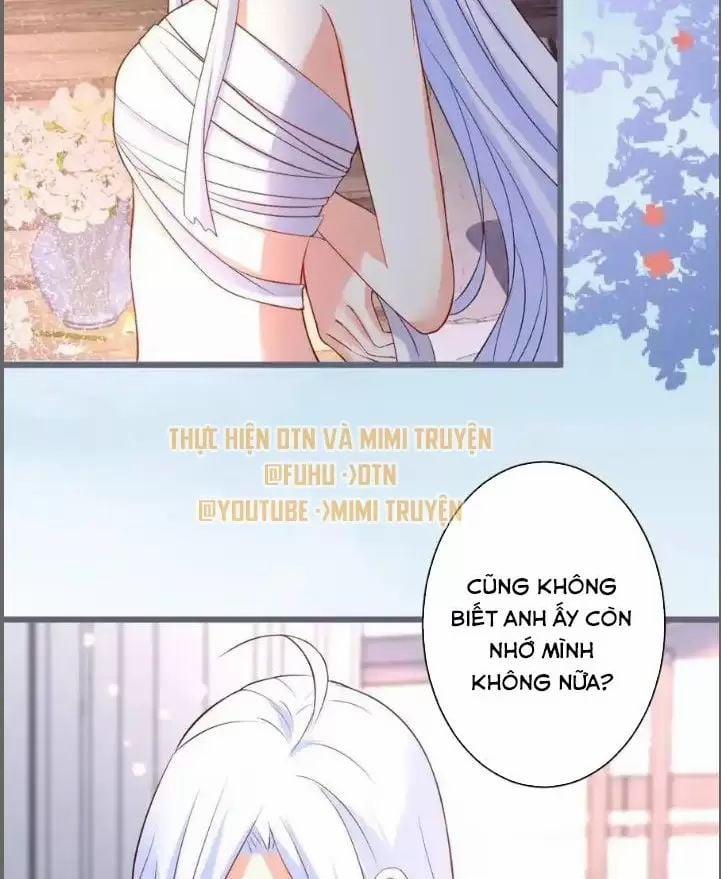 Hắc Đạo Đáng Yêu 231 trang 1