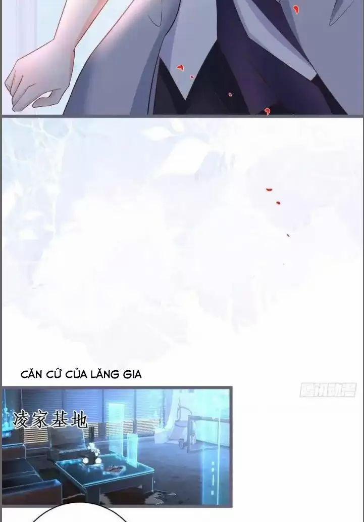 Hắc Đạo Đáng Yêu 231 trang 10