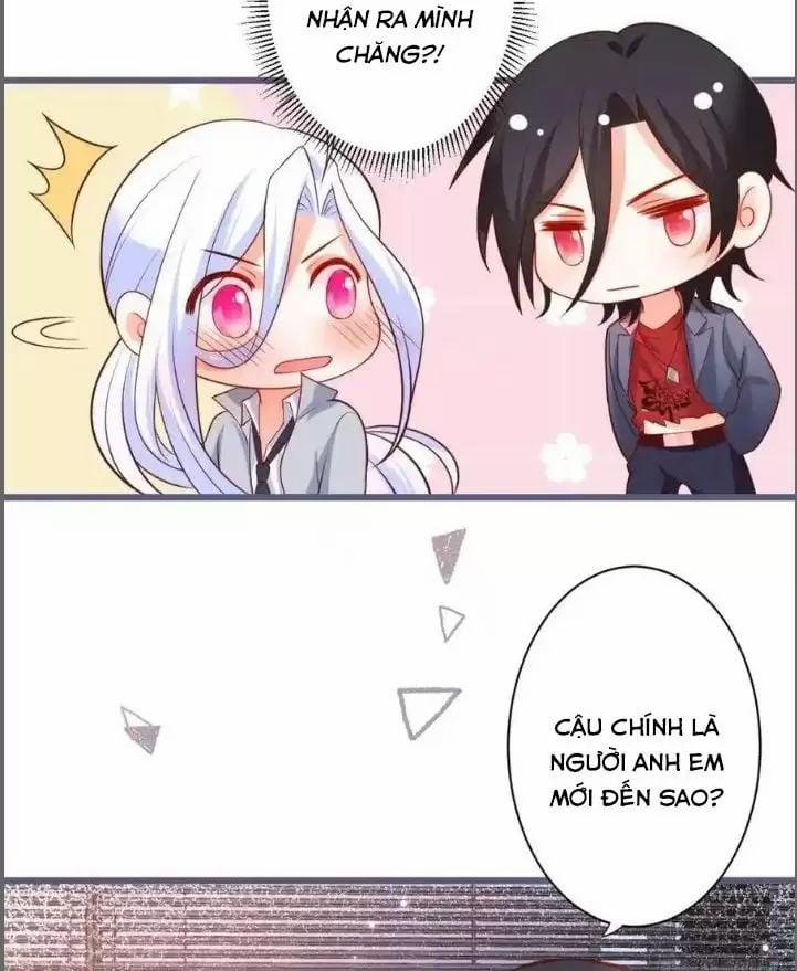 Hắc Đạo Đáng Yêu 231 trang 17