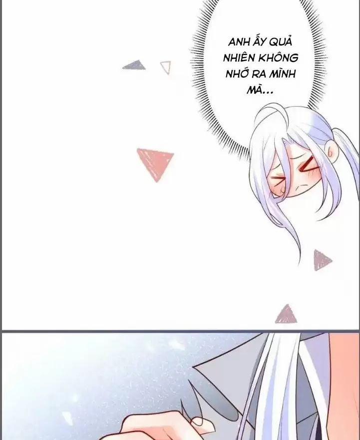 Hắc Đạo Đáng Yêu 231 trang 19