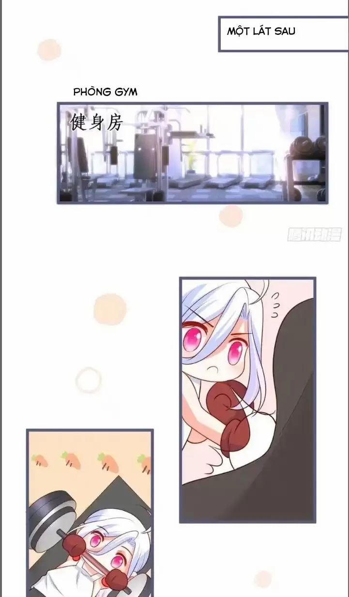 Hắc Đạo Đáng Yêu 231 trang 27