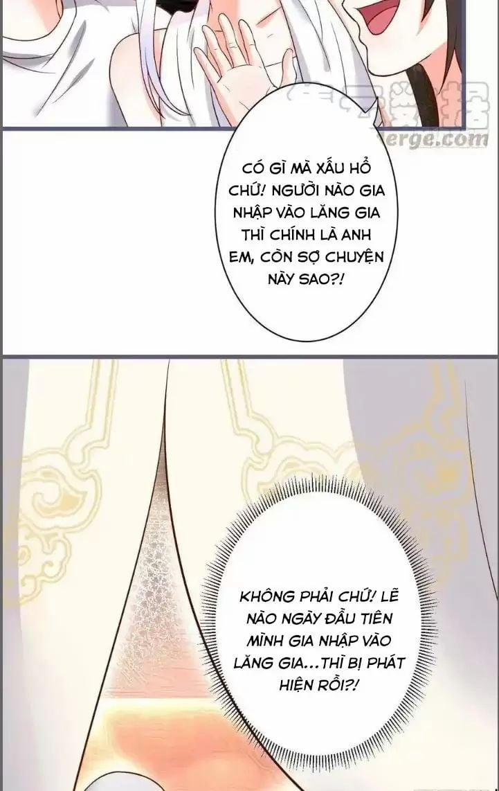 Hắc Đạo Đáng Yêu 231 trang 34