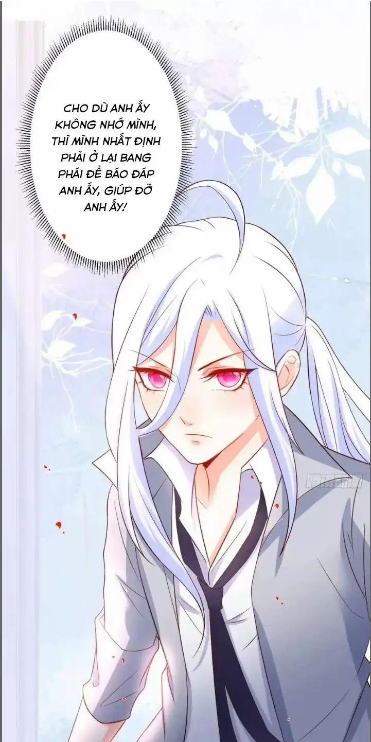 Hắc Đạo Đáng Yêu 231 trang 9