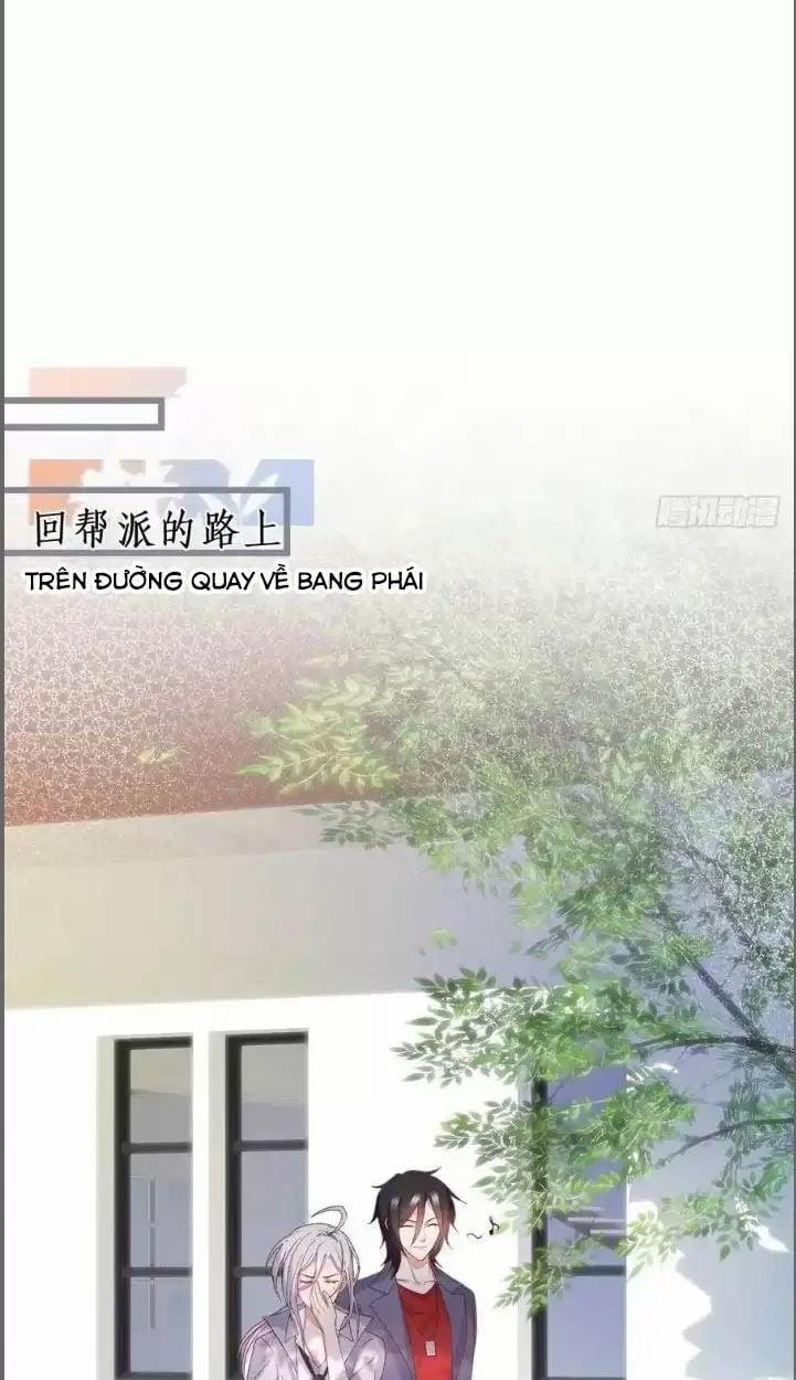 Hắc Đạo Đáng Yêu 234 trang 31