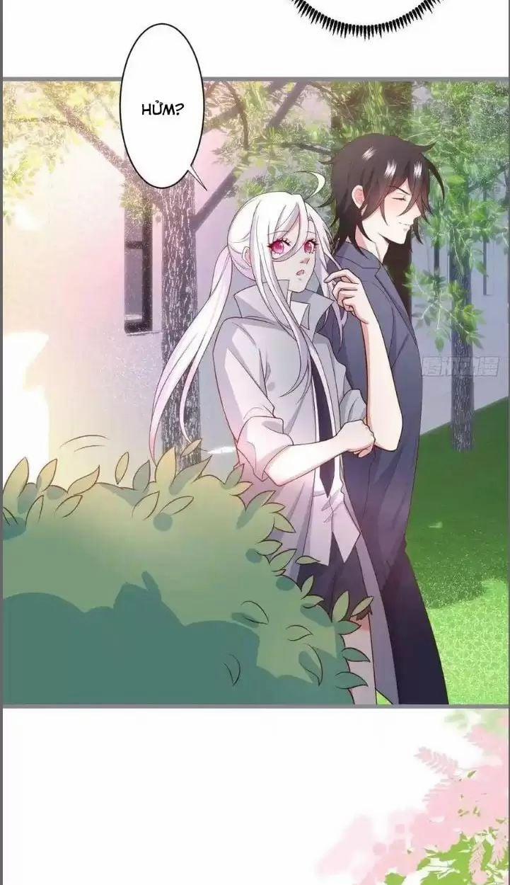 Hắc Đạo Đáng Yêu 234 trang 33