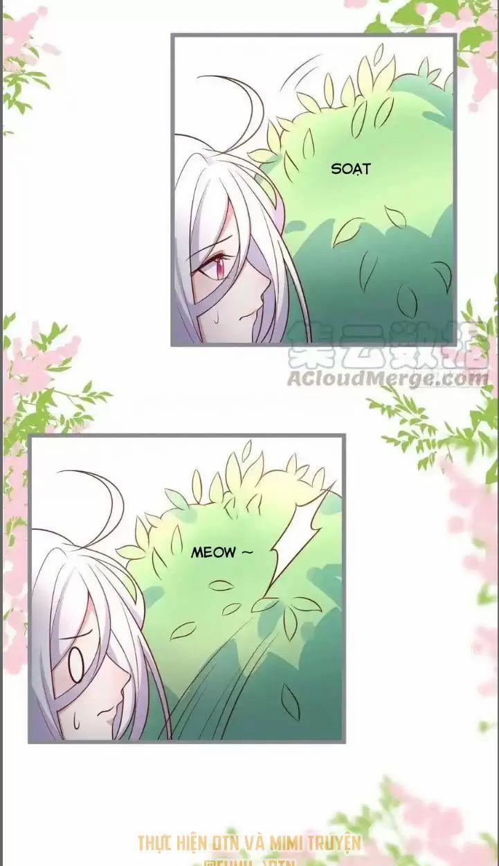 Hắc Đạo Đáng Yêu 234 trang 34