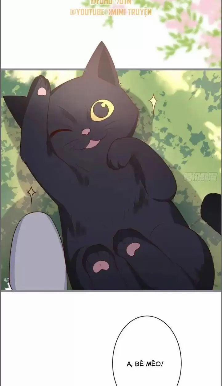Hắc Đạo Đáng Yêu 234 trang 35