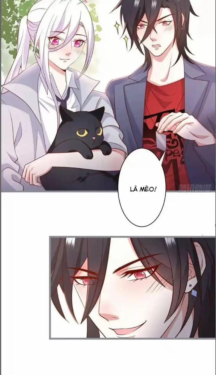 Hắc Đạo Đáng Yêu 234 trang 37