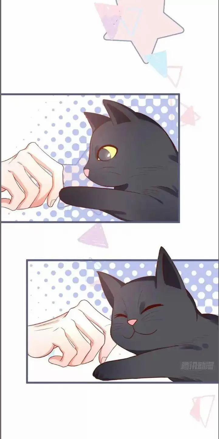 Hắc Đạo Đáng Yêu 235 trang 11