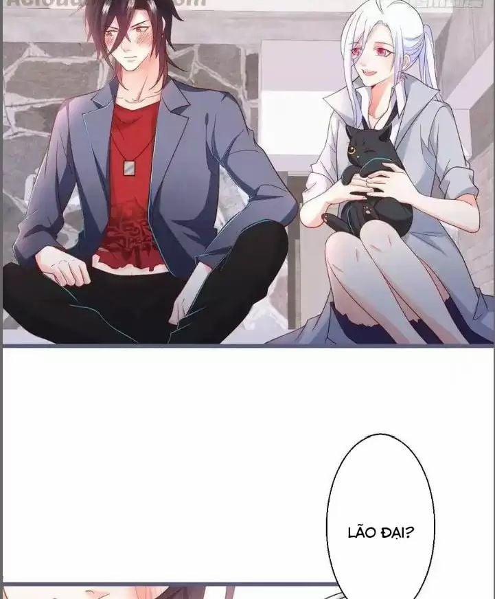 Hắc Đạo Đáng Yêu 235 trang 19
