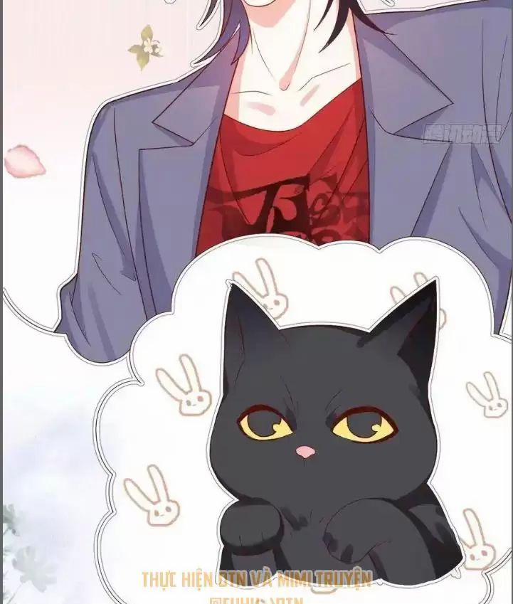 Hắc Đạo Đáng Yêu 235 trang 33