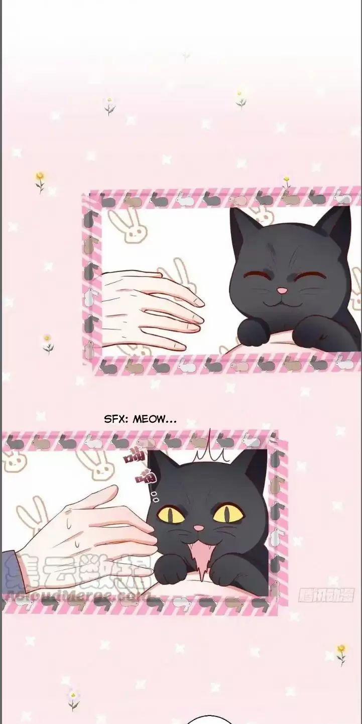 Hắc Đạo Đáng Yêu 235 trang 5