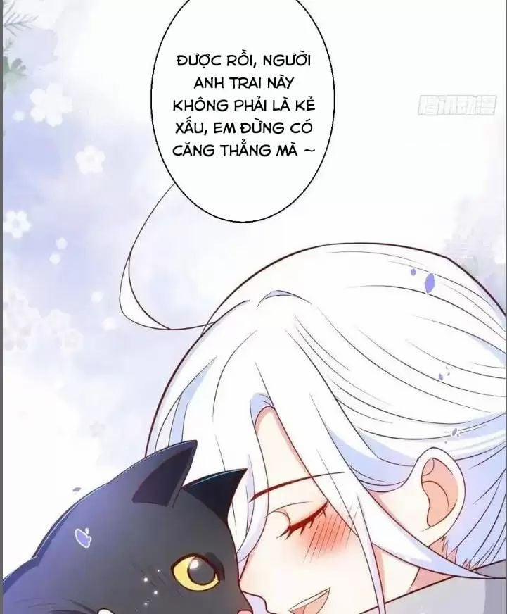 Hắc Đạo Đáng Yêu 235 trang 7
