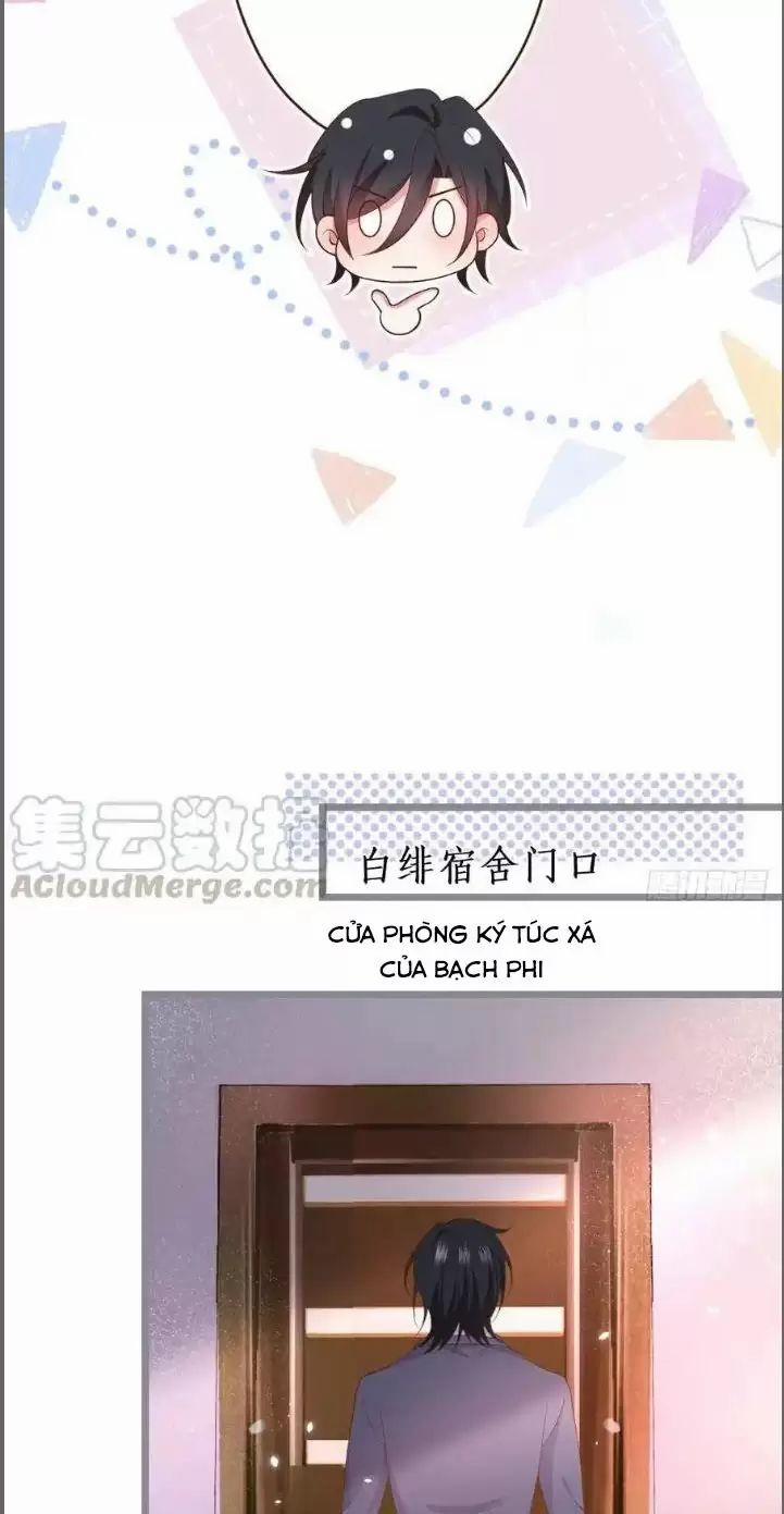 Hắc Đạo Đáng Yêu 238 trang 35