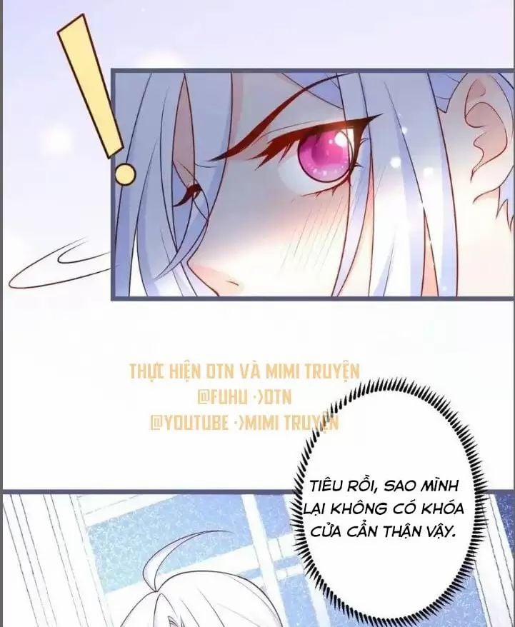 Hắc Đạo Đáng Yêu 239 trang 1