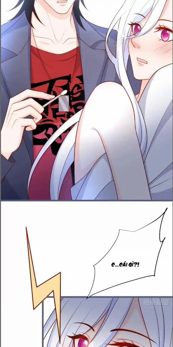 Hắc Đạo Đáng Yêu 239 trang 12