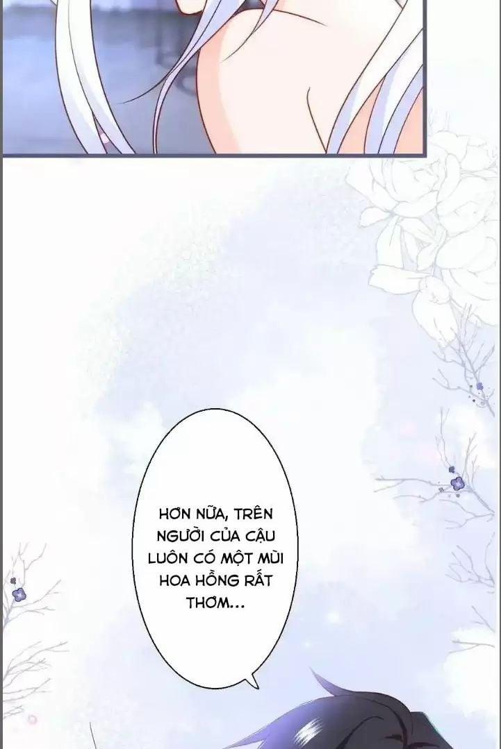 Hắc Đạo Đáng Yêu 239 trang 25