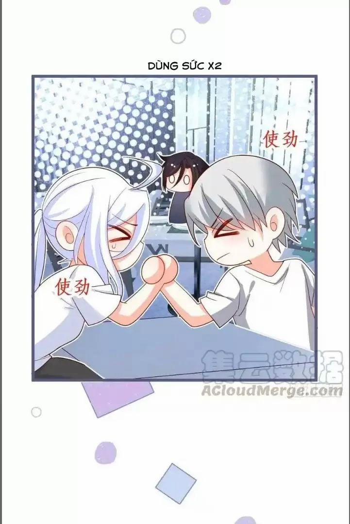 Hắc Đạo Đáng Yêu 239 trang 34