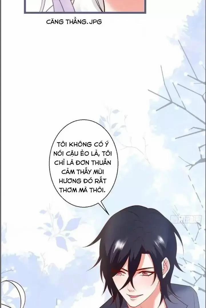 Hắc Đạo Đáng Yêu 241 trang 31