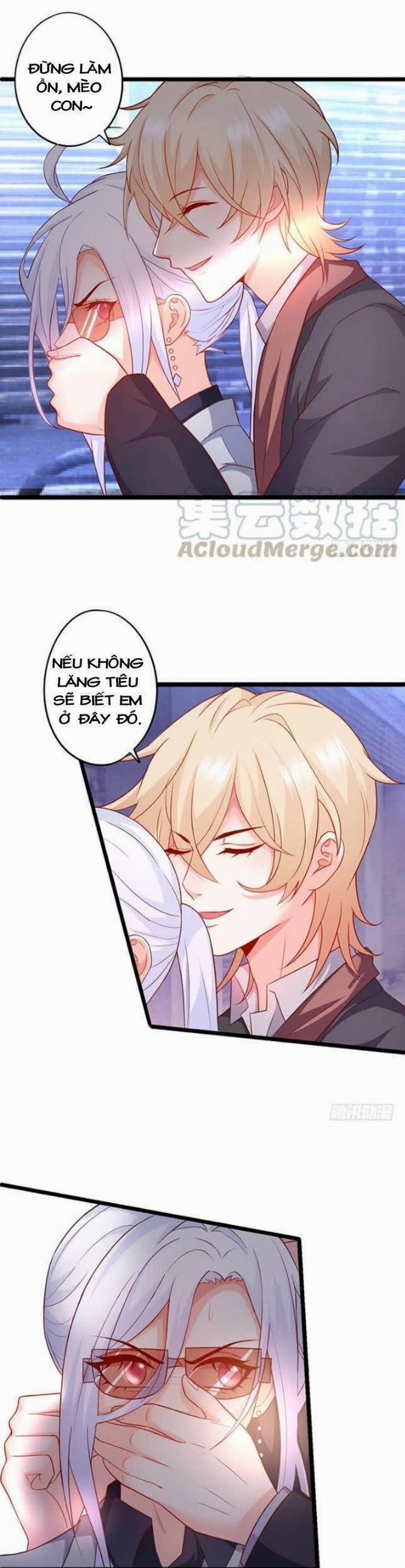 Hắc Đạo Đáng Yêu 99 trang 14