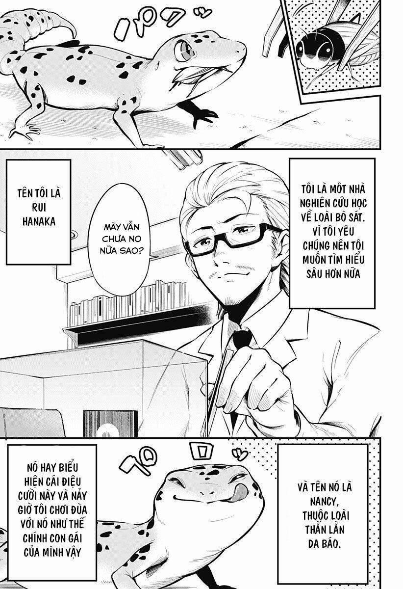 Hachuurui-Chan Wa Natsukanai 1 trang 0